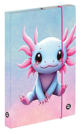 Box na sešity A4 Axolotl - 