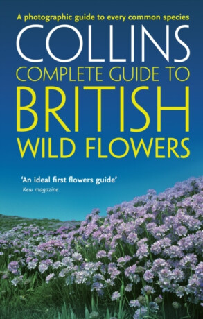 British Wild Flowers - Paul Sterry