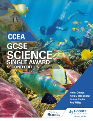 CCEA GCSE Single Award Science 2nd Edition - James Napier,Alyn G. McFarland,Roy White,Helen Dowds