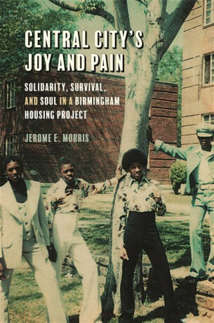 Central City`s Joy and Pain â€“ Solidarity, Survival, and Soul in a Birmingham Housing Project - Jerome E. Morris
