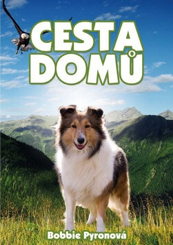 Cesta domů - Bobbie Pyronová