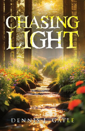 Chasing Light - Dennis J. Gayle