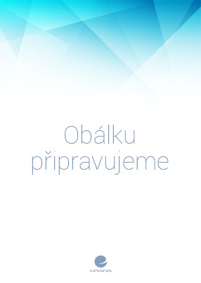 Církevní dějiny - Drahomír Suchánek,Václav Drška,Marek Šmíd