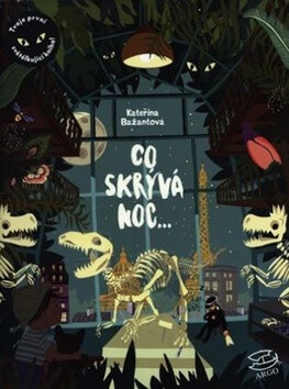 Co skrývá noc - 
