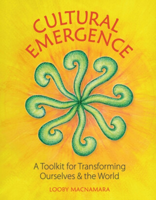 Cultural Emergence - Looby Macnamara