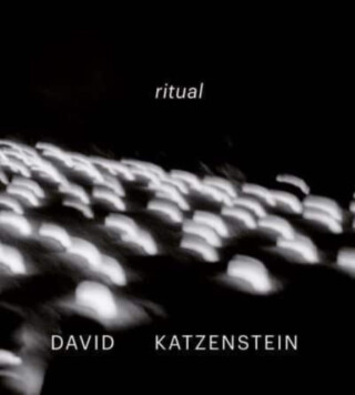 David Katzenstein - 