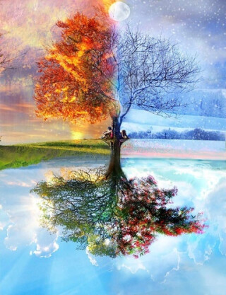 Diamantové malování Strom čtvero ročních období - 
