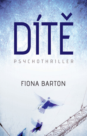 Dítě - Fiona Barton