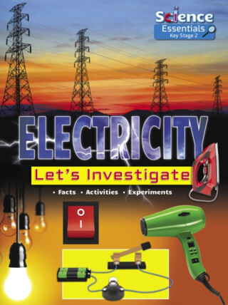 Electricity - Ruth Owen