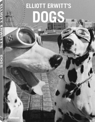 Elliott Erwitt's Dogs - Elliot Erwitt
