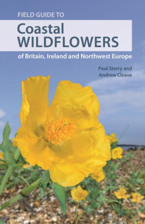 Field Guide to Coastal Wildflowers of Britain, Ireland and Northwest Europe - Paul Sterry,Andrew Cleave