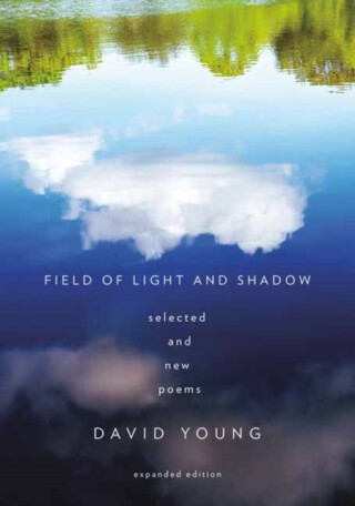 Field of Light and Shadow - David Young