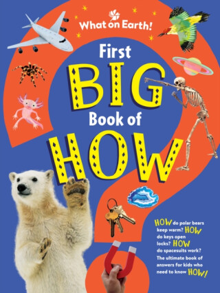 First Big Book of How - Sally Symes,Saranne Taylor