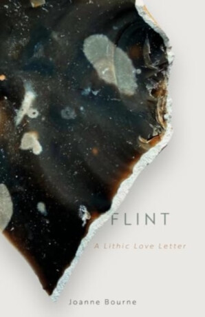 Flint - Joanne Bourne