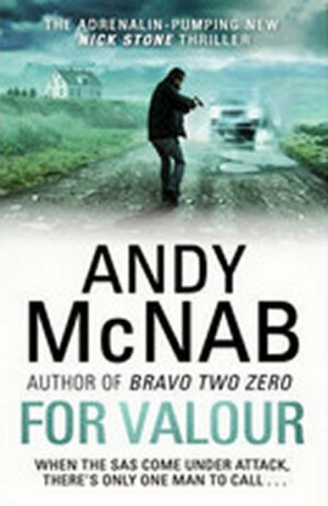 For Valour - Andy McNab