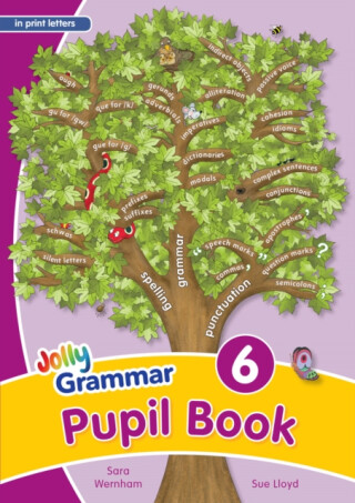 Grammar 6 Pupil Book - Sara Wernham,Sue Lloyd