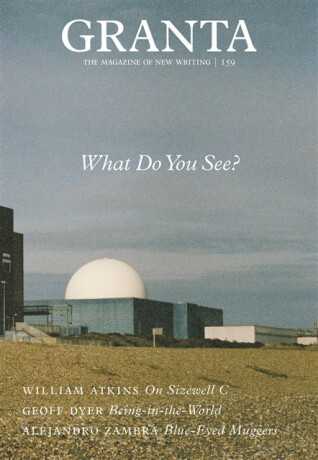 Granta 159: What Do You See? - Sigrid Rausing
