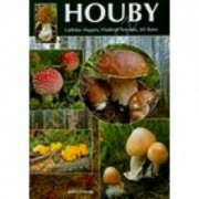 Houby (Hagara) - Vladimír Antonín