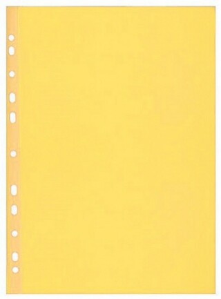 Herlitz - Prospektový obal A4/100 kusů - 
