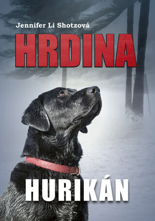Hrdina: Hurikán - Jennifer Li Shotzová