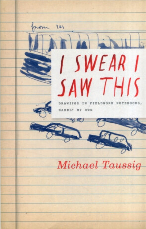 I Swear I Saw This - Michael Taussig