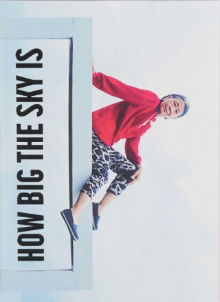 Iâ€™m showing you how big the sky is â€“ The story of Chiou Taur Wu told by Martina Bacigalupo - Martina Bacigalupo