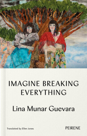 Imagine Breaking Everything - 