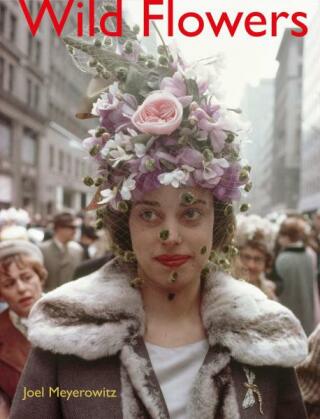 Joel Meyerowitz: Wild Flowers - Joel Meyerowitz