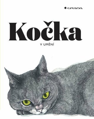 Kočka v umění (poškozená) - Angus Hyland,Caroline Robertsová