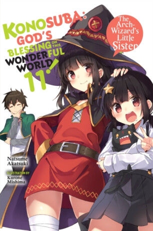 Konosuba: God's Blessing on This Wonderful World!, Vol. 11 (light novel) - Akatsuki Natsume,Kevin Steinbach,Kurone Mishima