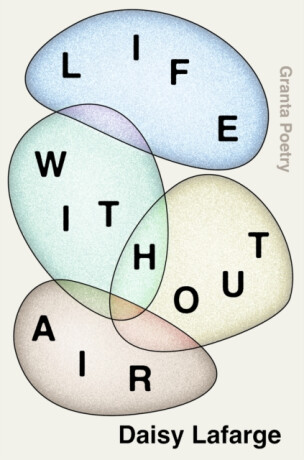 Life Without Air - Daisy Lafarge