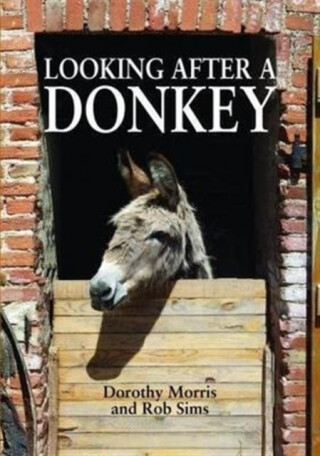 Looking After a Donkey - Dorothy Morris,Rob Sims