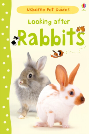 Looking after Rabbits - Fiona Patchettová