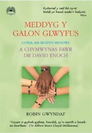 Meddyg y Galon Glwyfus - Gofal am Iechyd Meddwl a Chymwynas Fawr Dr David Enoch - Robin Gwyndaf