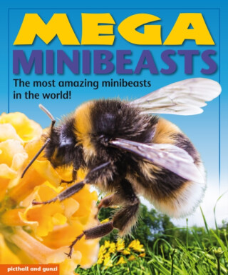 Mega Minibeasts - Nina Filipek