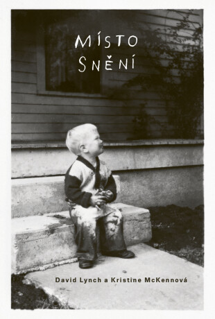 Místo snění - David Lynch,Kristine McKennová