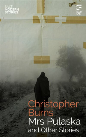 Mrs Pulaska and Other Stories - Mr Christopher Burns