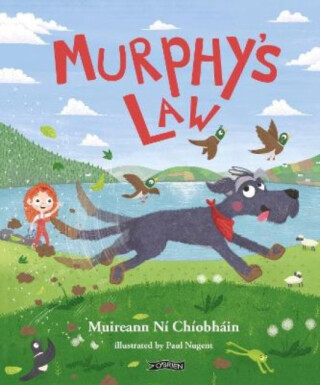 Murphy's Law - Muireann Ni Chiobhain