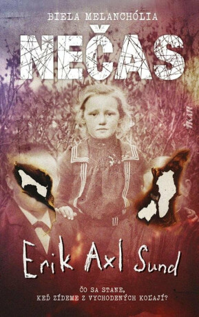 Nečas (slovensky) - Erik Axl Sund