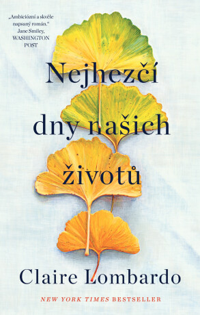 Nejhezčí dny našich životů - Claire Lombardo
