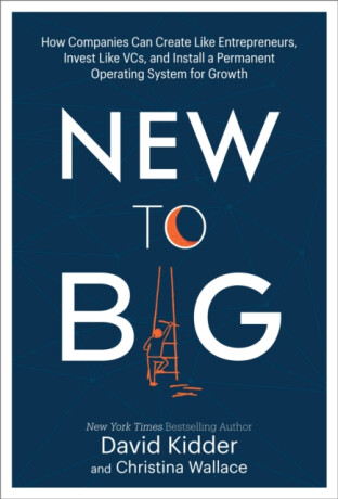 New to Big - Christina Wallace,David Kidder