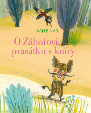 O Záhořovi, prasátku s kníry - Ivan Binar