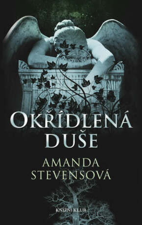 Okřídlená duše - Amanda Stevensová