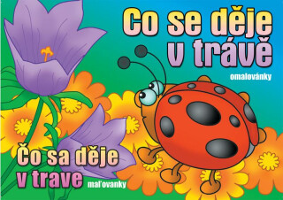 Omalovánky - Co se děje v trávě - neuveden