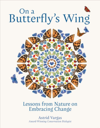 On a Butterfly's Wing - Astrid Vargas
