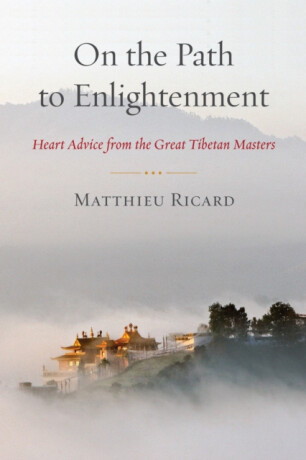 On the Path to Enlightenment - Ricard Matthieu