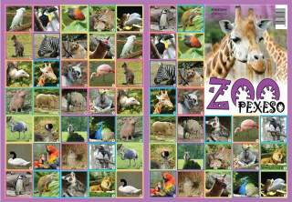 Pexeso - ZOO - neuveden