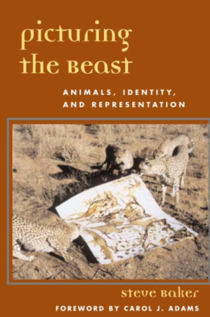 Picturing the Beast - Steve Baker