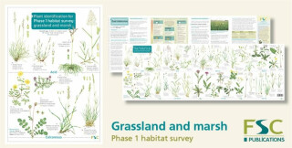 Plant Identification for Phase 1 Habitat Survey: Grassland and Marsh - Hilary Wallace,Mark Duffell