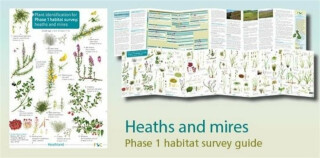 Plant identification for Phase 1 habitat survey: heaths and meres - Hilary Wallace,Mark Duffell